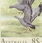  Australia #1203-1206 