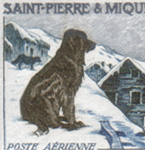  St Pierre #C21-C22 